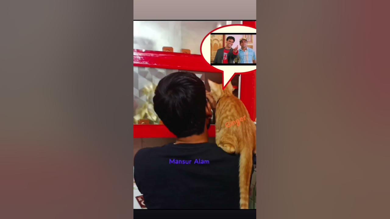ha-malum-hai-tere-baap-ko-mat-sikha-chal-my-cat-ginger-funnydubbing