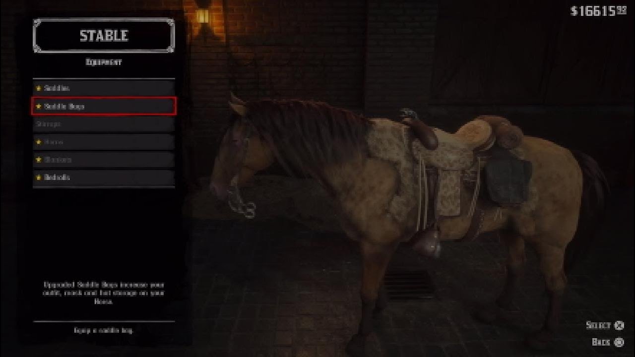 Where To Get Perfect Panther Pelt Rdr2 Best saddle in RDR2 Story|Where to get a PERFECT panther pelt| - YouTube