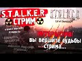 ИНТЕРАКТИВНЫЙ СТРИМ В STALKER CALL OF CHERNOBYL