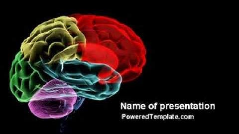 Brain Centers PowerPoint Template by PoweredTemplate.com