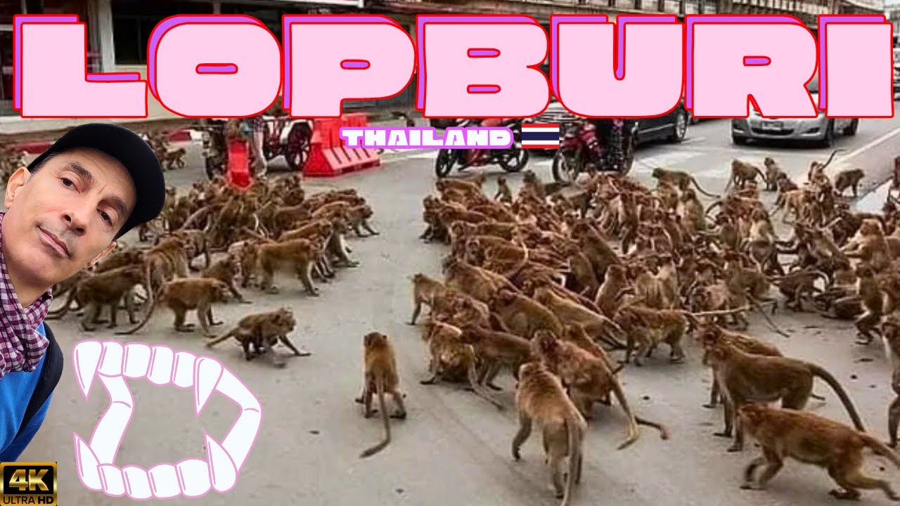 НАПАДЕНИЕ ДИКИХ ОБЕЗЬЯН — Лопбури, Таиланд 🇹🇭 4K