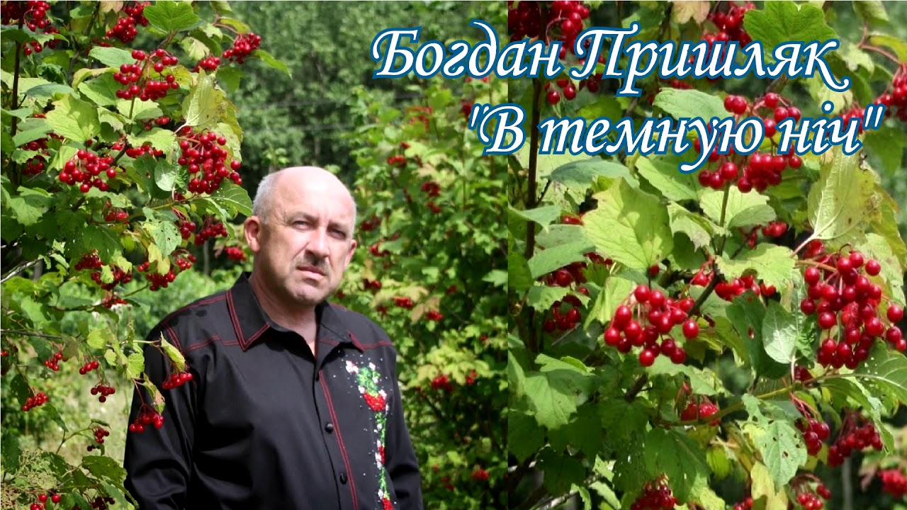 Богдан пришляк дощі