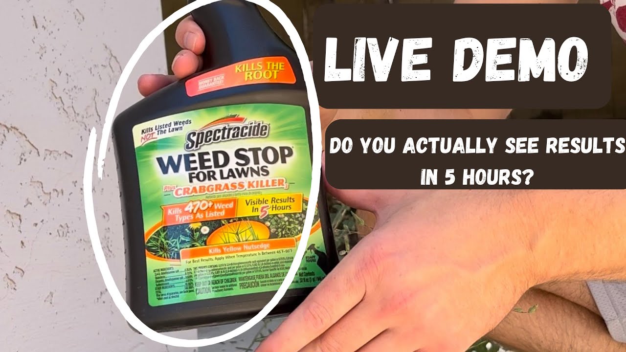 Spectracide Weed Stop For Lawns Remove Crabgrass Easily YouTube