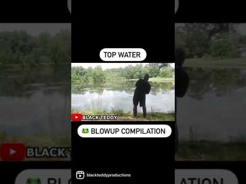 Top water 🐸 Blow Up Compilation #shorts - YouTube