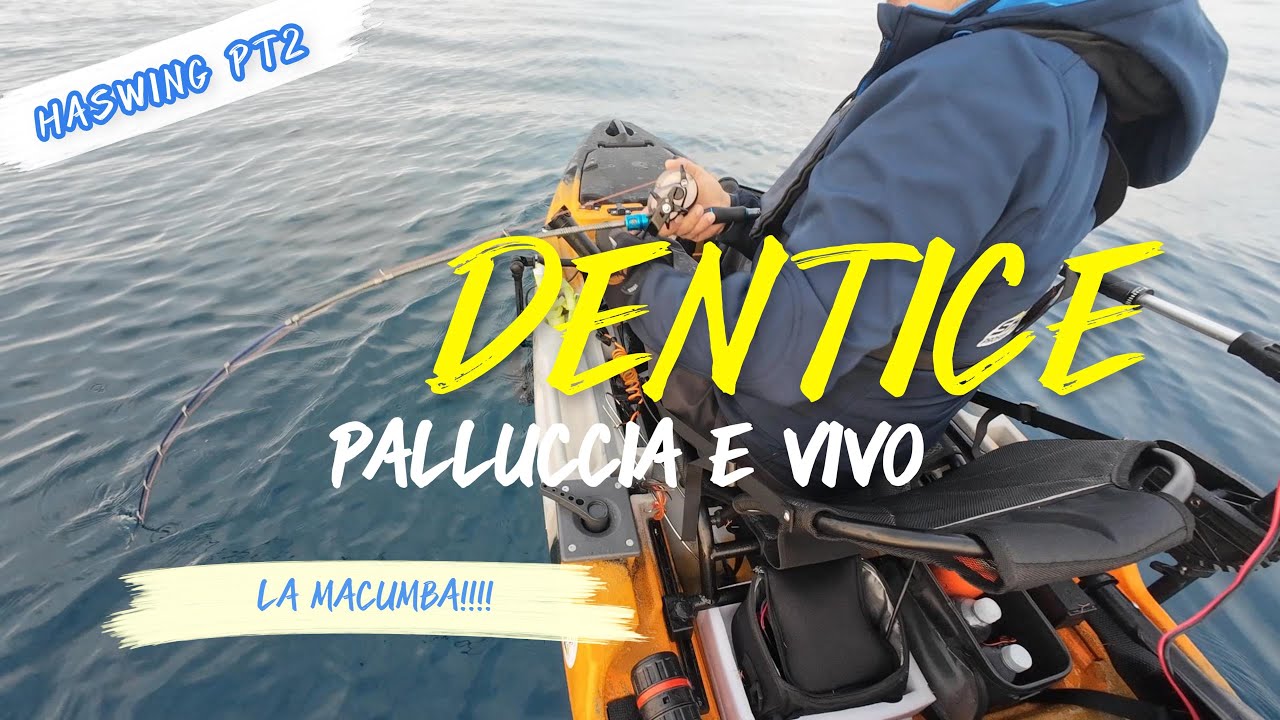 DENTICE IN KAYAK CON IL VIVO + HASWING PT2 TEST