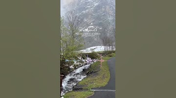 🌼قرآن كريم 🌺سورك مريم الآية 61 🌸#قران_كريم #سورة_مريم