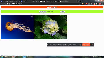 Django Free Cloud Storage With Cloudinary (25GB free) (migrate to cloud under 5 minutes)