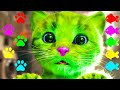 Little kitten adventure funny pet  animated cat on an adventurous journey to a dress up party
