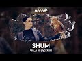 Go_A [SHUM] русский кавер от NotADu