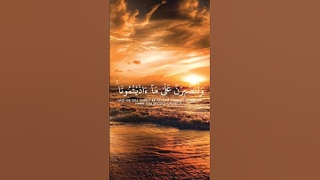 تلاوه هادئة ستاخذك الى عالم اخر😴