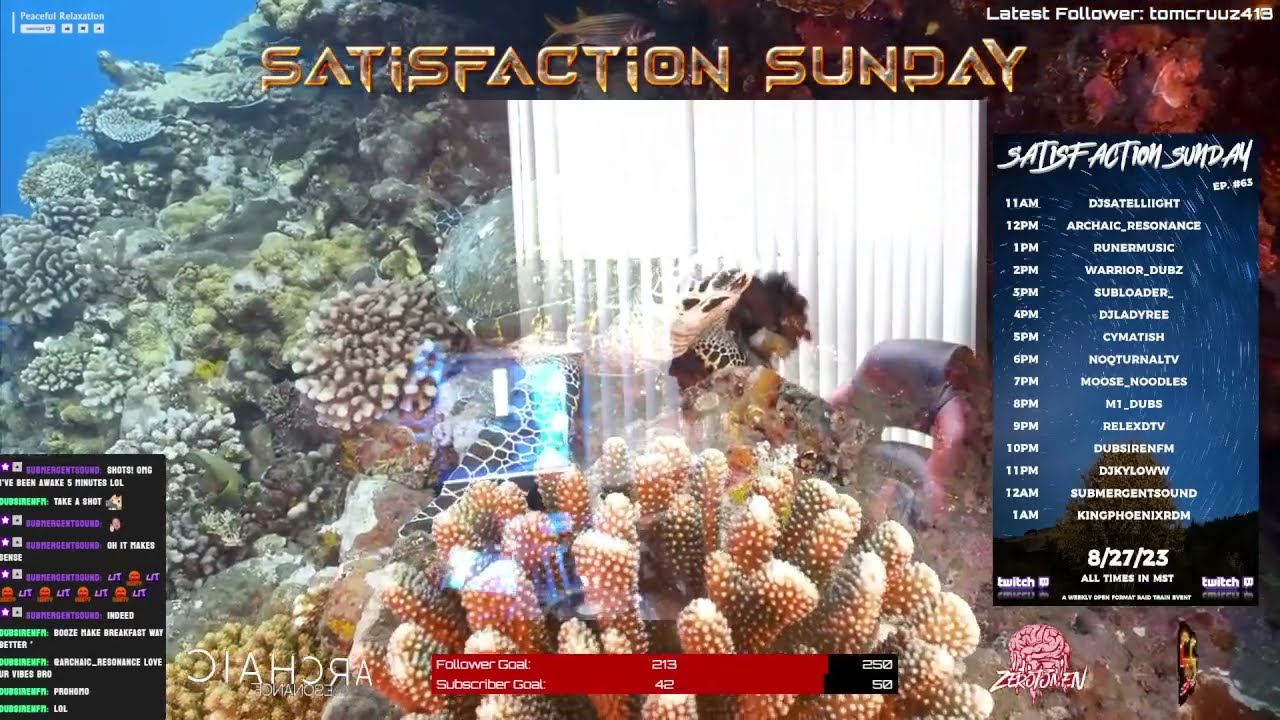 Satisfaction Sunday Ep. 63| Up Next @toandown | Road to 250 followers | 