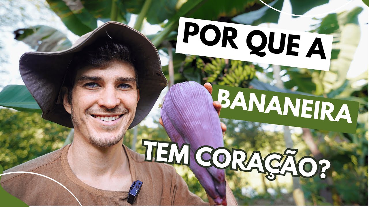 NÃO FAÇA poda na bananeira antes de entender isso