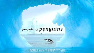 Capturing the most incredible Penguin behavior | Antarctica