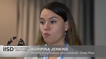 Improving MRV for Agricultural Emission Reductions in the Livestock Sector