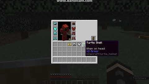 Cosmetic Armor Slots 1.14.2-1.14.3 Fabric Mod Overview