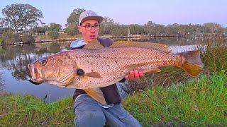 Perth’s Hardest Fish To Catch On Lures?!? (Catching Big Swan River Mulloway On Light Tackle) screenshot 5