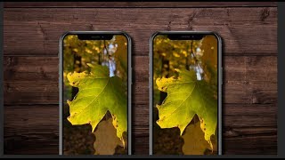 Deep Fusion is Actually Awesome! - iPhone 11 Tests