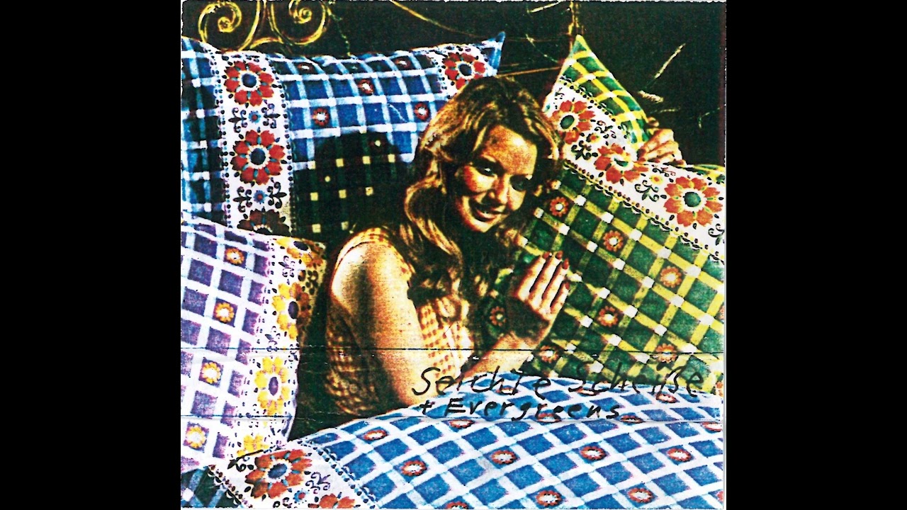 Seichte Scheiße + Evergreens - Gitarrentrio