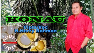 Herry Rahman - Konau (Official Audio Lirik)