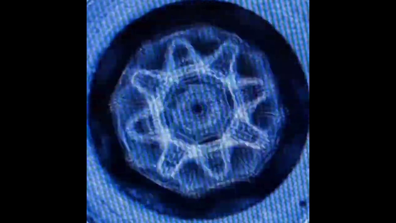 Embodiment ~ Track 1 from the album Vital Awakenings: Sonic