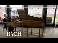 Bach - WTC II Prelude and fugue no. 6 in D minor BWV 875 - Schornsheim | Netherlands Bach Society