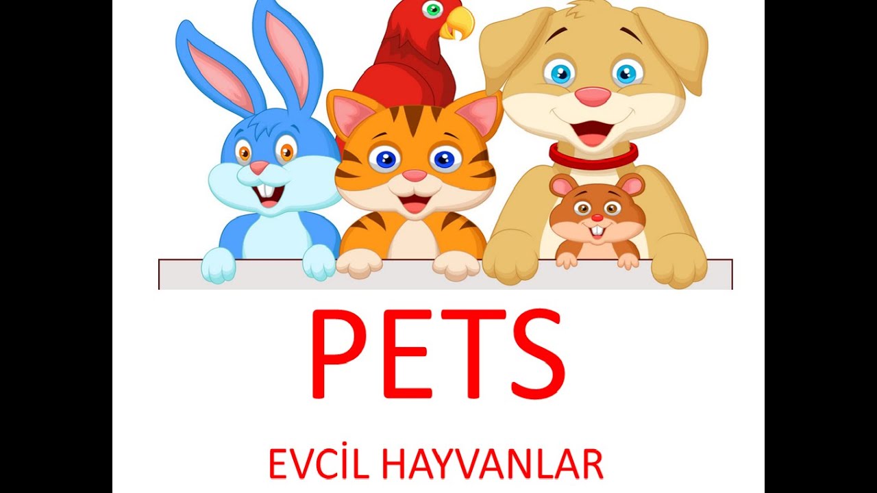 2. SINIF İNGİLİZCE 8. ÜNİTE KELİMELERİ (UZAKTAN EĞİTİM) - YouTube