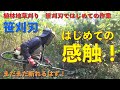 【笹刈刃　下刈り】植林地を、初めてのアサリ割りした笹刈刃で、下刈りしてみました！