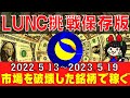【LUNCチャレンジ】大暴落でいくら儲かったのか？【相場分析・総集編】＃テラ＃ルナクラシック