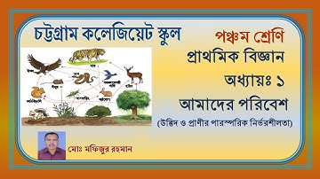 ১ম অধ্যায়- আমাদের পরিবেশ | প্রাথমিক বিজ্ঞান | পঞ্চম শ্রেণি || Amader Poribesh | Class Five | Science