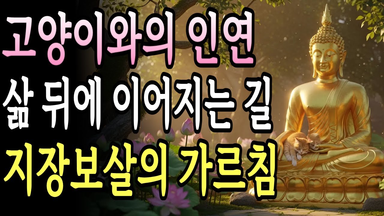생전에 고양이를 길렀다면, 사후에 어떤 인과가 따를까? 지장보살께서 밝히셨습니다. 고양이를 기른 시간의 길이가 당신의 다음 생을 결정합니다｜불교｜불법｜불교현학｜불교지혜｜불학지식