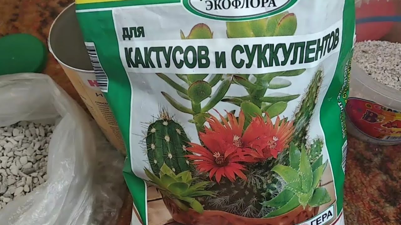 Где Лучше Купить Грунт