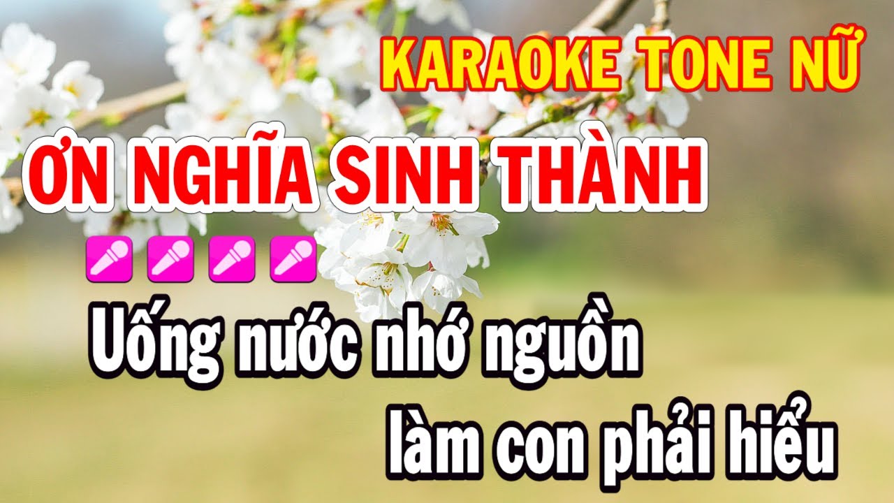 Karaoke Ơn Nghĩa Sinh Thành Tone Nữ Beat Chuẩn Nhạc Sống Huỳnh Như