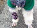 年賀状は今日も来た。伸縮包帯の代わりに，手作りのものを。