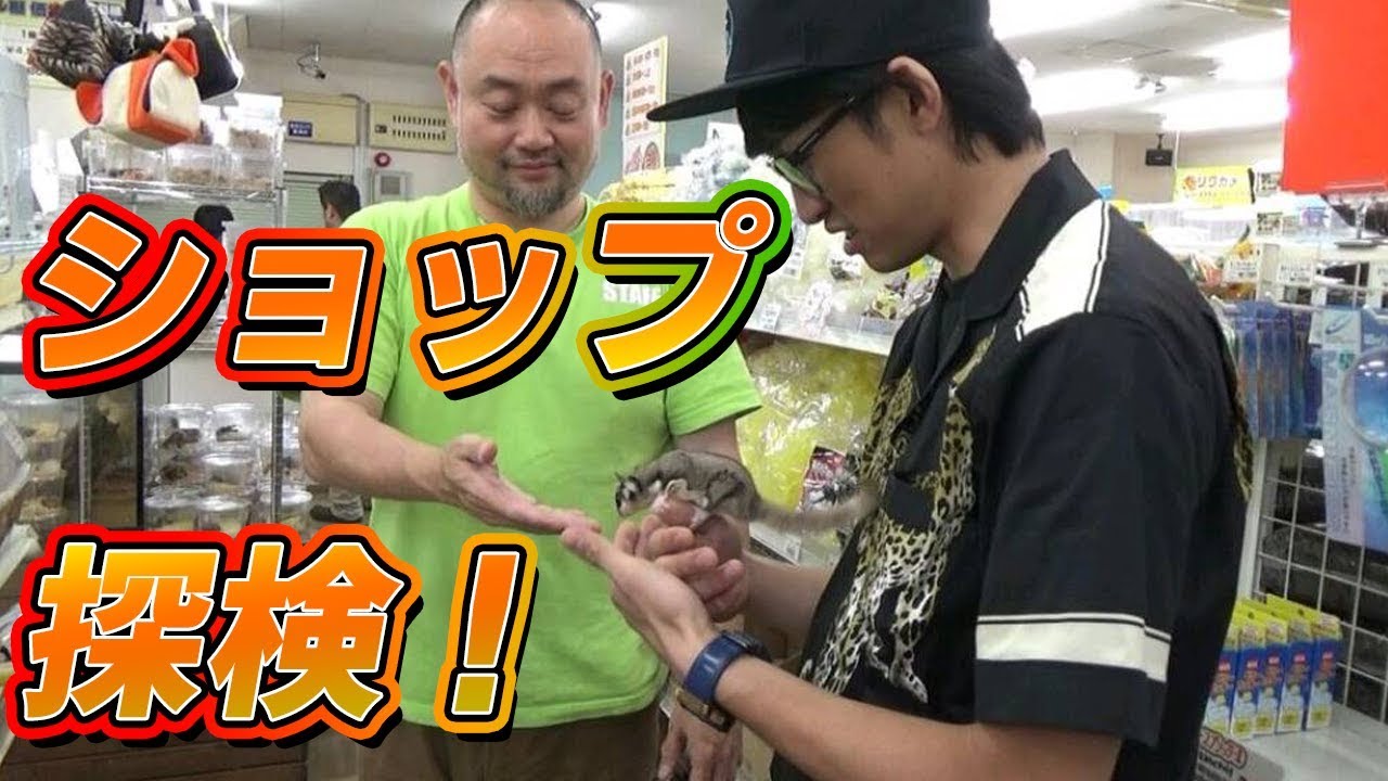 カブクワオタク When I was shown around Lumberjack, it was so much fun that I