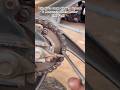 The Easiest Flathead Screwdriver Chain Link Trick #MotorcycleMaintenance #ChainRepair #TopTip
