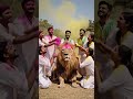 Sher bhai k sath holi #viralshort #lion #holishorts #youtubeshorts #shortsfeed #share #like