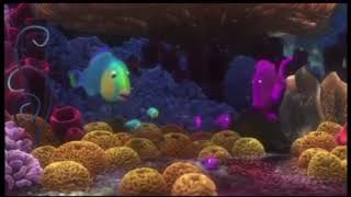 Sponge Beds Memes Part 4