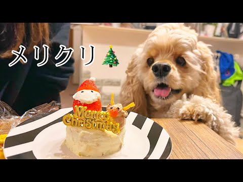 ぽての為にさつまいもクリスマスケーキを作ったんだけど途中危ういものが映った(笑)