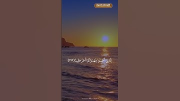 تلاوة عطرة من سورة  آل عمران💚