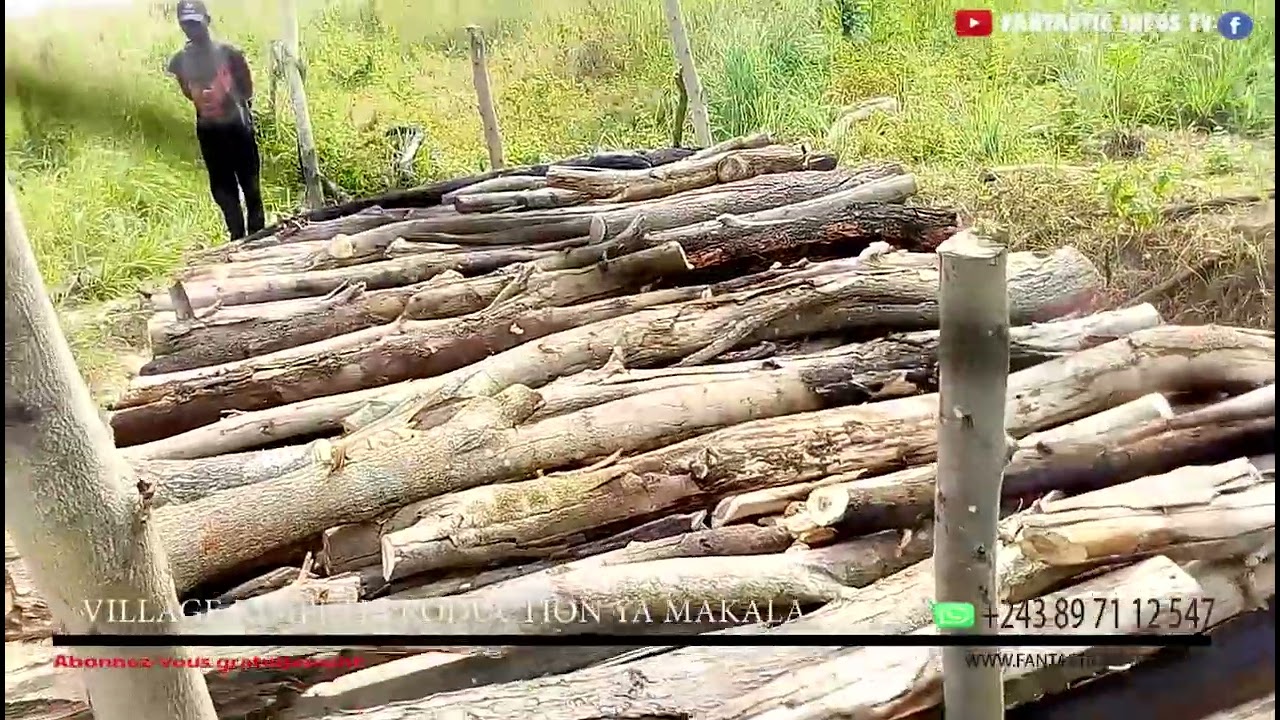 fabrication ya makala na plateau de bateke na village kimpeti