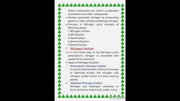 Nitrogen cycle|| short notes|| Bsc, msc
