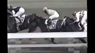 2001 Derby IsoCam on Monarchos
