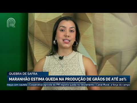 Quebra de safra: Maranhão estima queda na produção de grãos de até 20% | Canal Rural