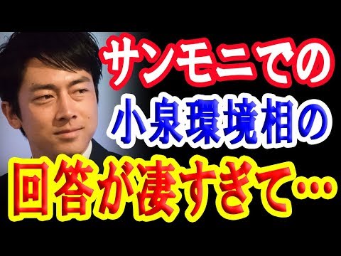 サンデーモーニングで関口宏氏に質問された小泉進次郎氏の答えが凄すぎて…【日出づる国TV】