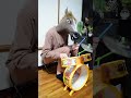 アンパンマンドラムでナイトオブナイツ叩いてみた #shorts