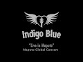 INDIGO BLUE "Live in Maputo" 2024