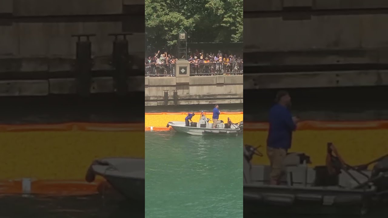 Ducks 18