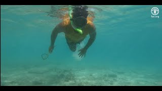 Raising the voice and empowering Pacific small-scale fishers and fish farmers