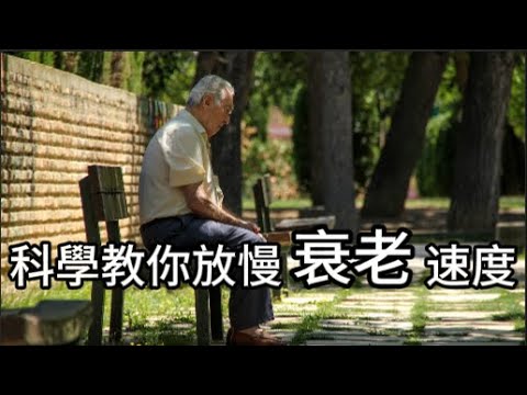 人為什麼會老？科學揭露老化真相＋如何逆轉身體衰老 | Why Do We Age? The Science Behind Aging ...
