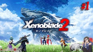 【ゼノブレイド2】＃1 なにやら凄まじく戦闘がムズイらしい。【Xenoblade2】【Nintendo Switch】【実況】
